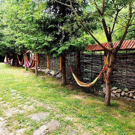 Cabana Frasin Dragoslavele Εξωτερικό φωτογραφία