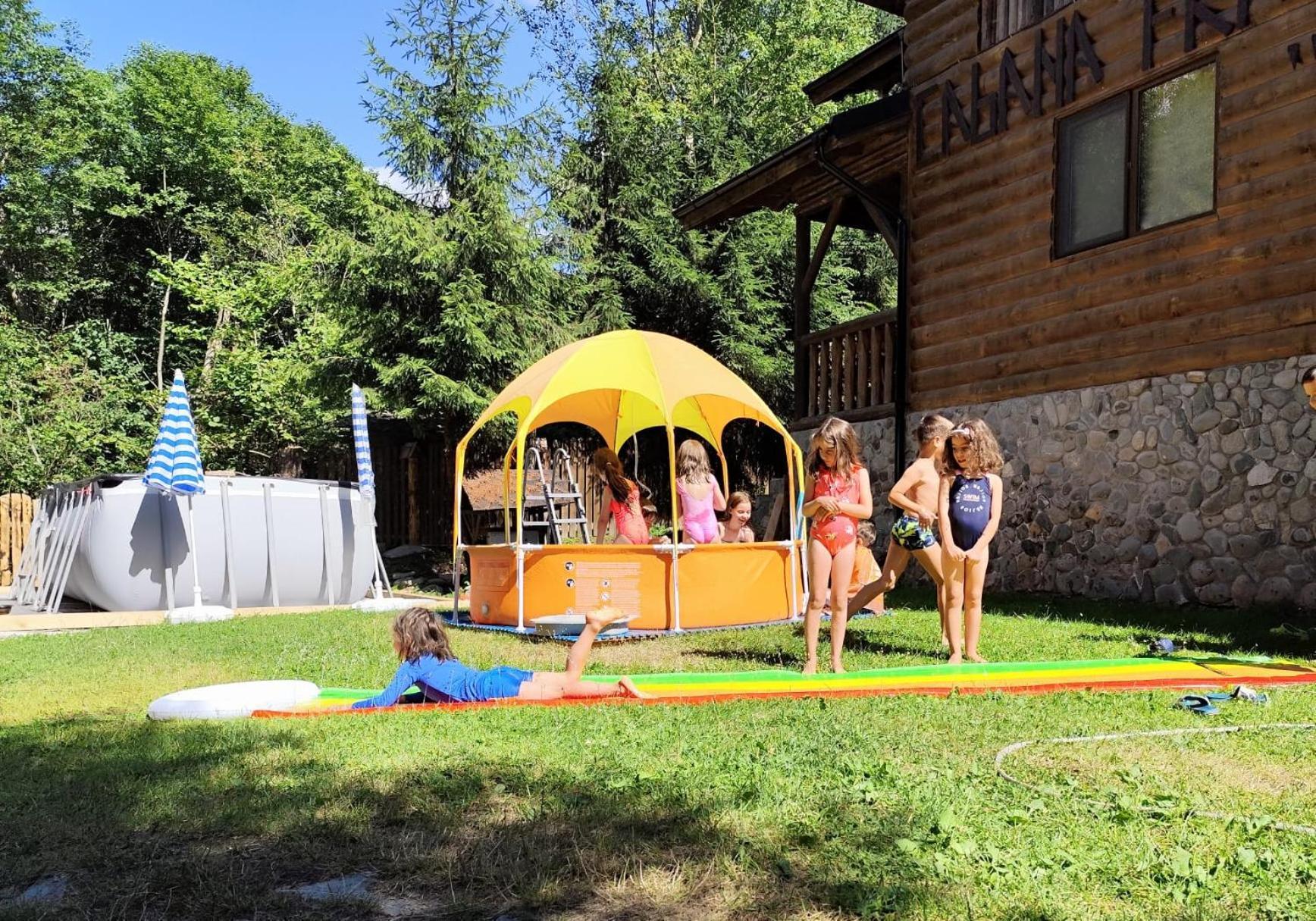 Cabana Frasin Dragoslavele Εξωτερικό φωτογραφία