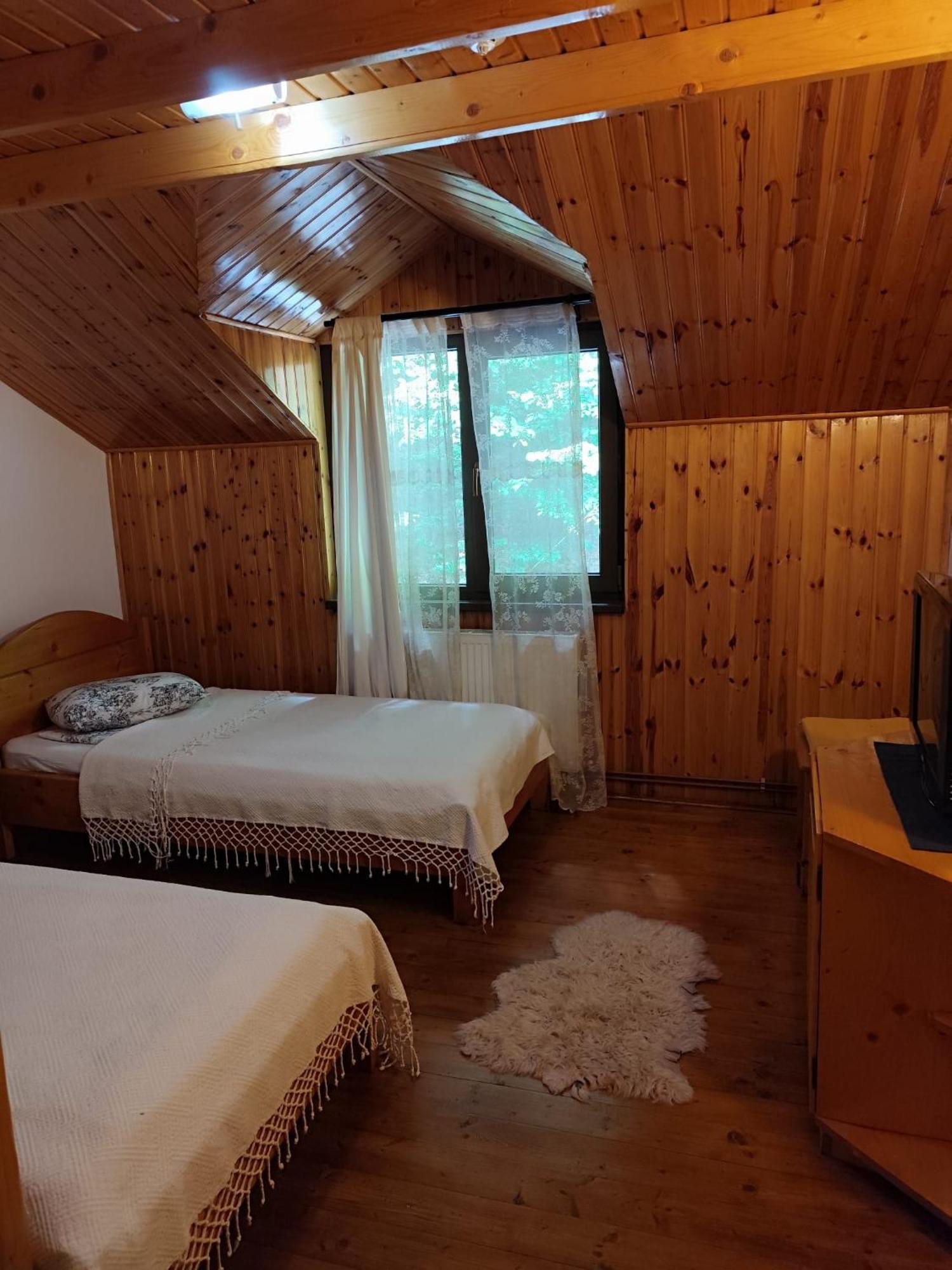 Cabana Frasin Dragoslavele Εξωτερικό φωτογραφία