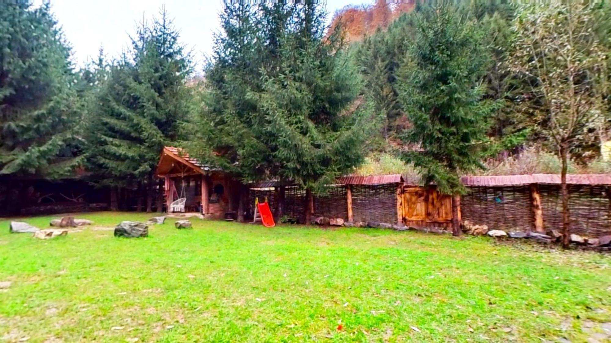 Cabana Frasin Dragoslavele Εξωτερικό φωτογραφία